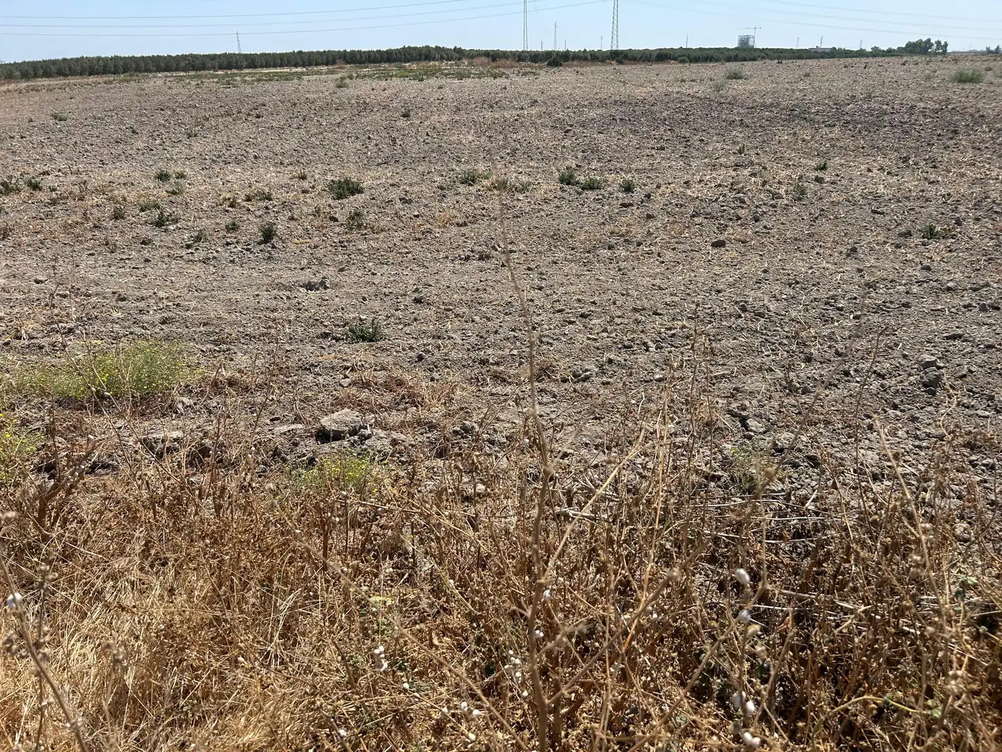 Terreno residencial en venta en POLIGONO 3 PARCELA 317 LA DEHESILLLA, imagen 7