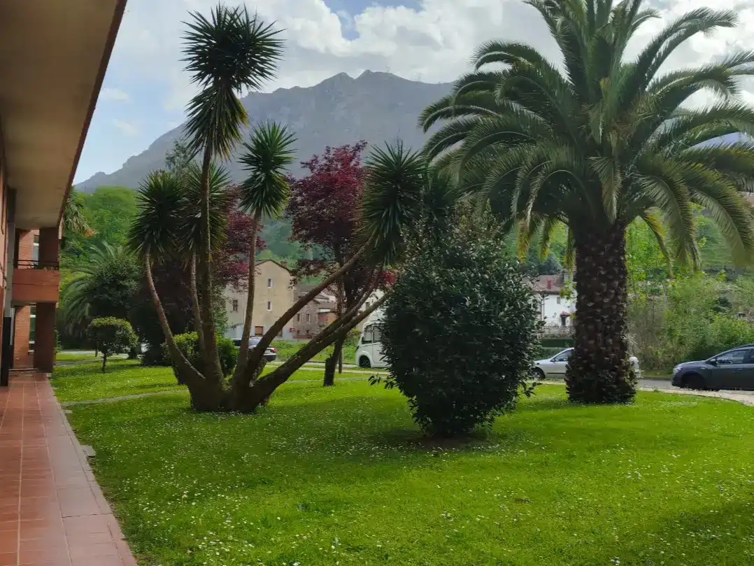 Vista exterior de Dúplex en venda en Morcín amb Jardí privat, Parquet i Traster