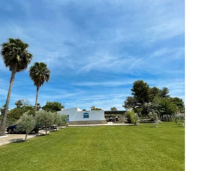 Jardí de Casa o xalet en venda en  Sevilla Capital