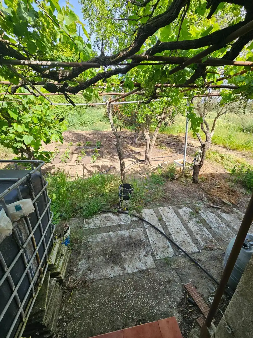 Maison rustique à vendre à Vejer, imagen 14