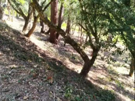 Residential land for sale in Carrer Cerdanya 56, imagen 4