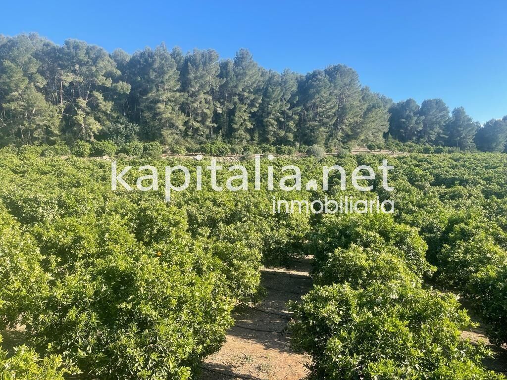 Finca rústica en venda en Rotglà i Corbera