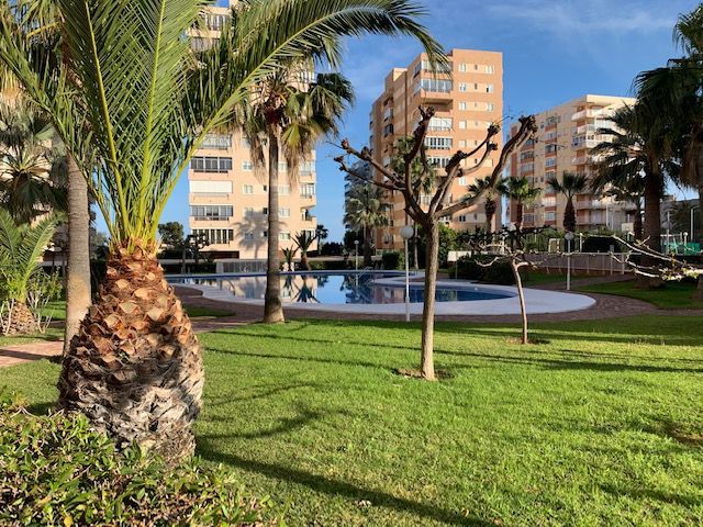 Swimming pool of Apartment to rent in Benicasim / Benicàssim  with Terrace, Furnished and Balcony