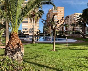 Swimming pool of Apartment to rent in Benicasim / Benicàssim  with Terrace, Furnished and Balcony
