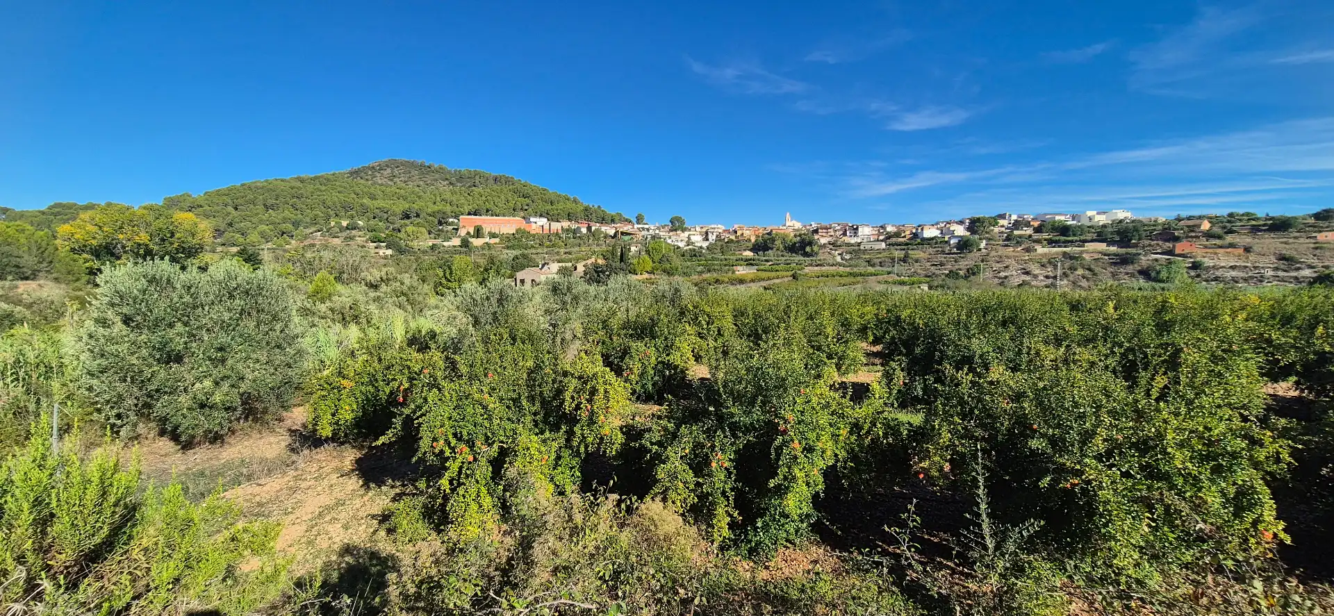 Maison rustique avec jardin à vendre à Avinguda Constitució 13, imagen 15