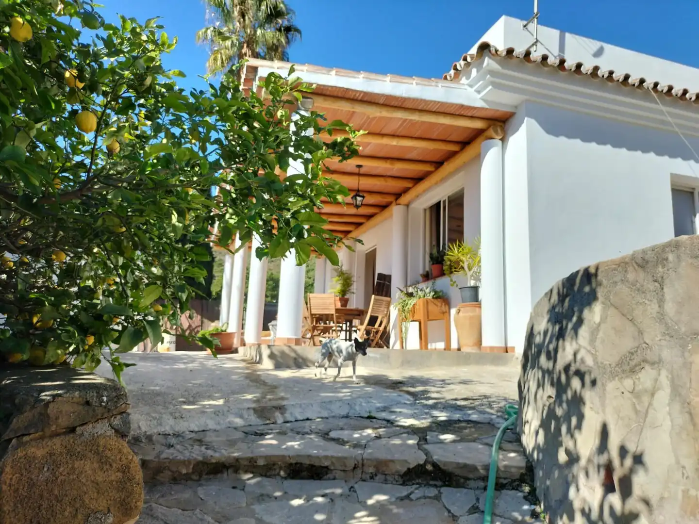 Garden of Country homes for sale in Estepona  with Private garden and Terrace