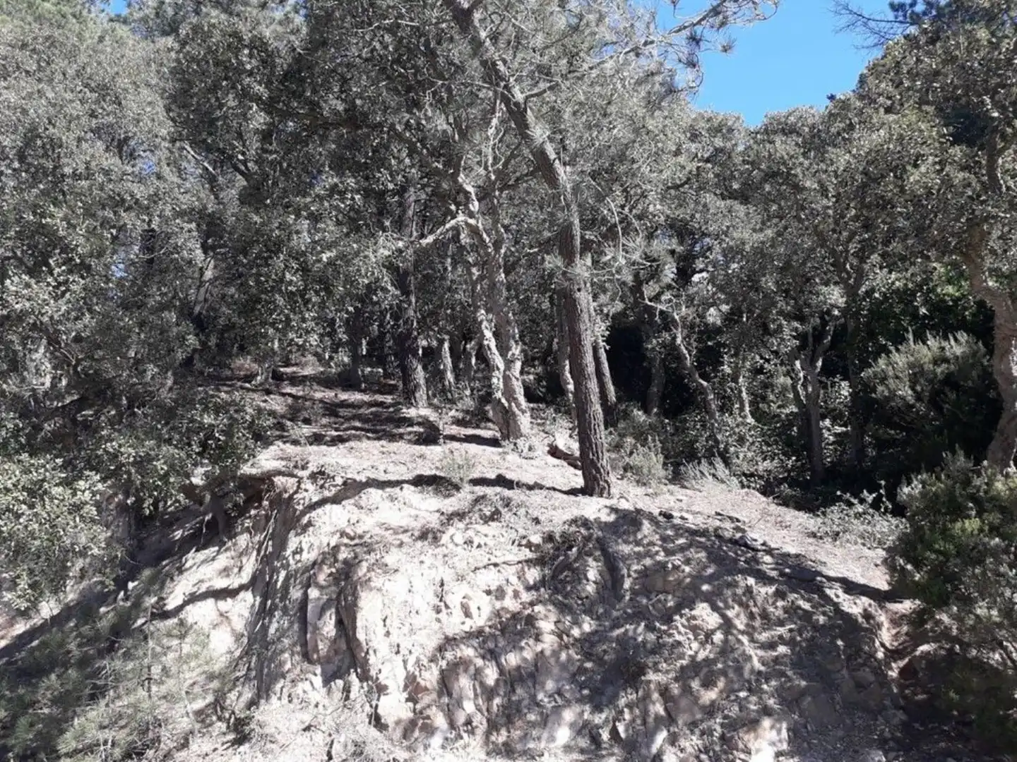Grundstücke und Bauplätze zum Verkauf in Serra Brava, imagen 5