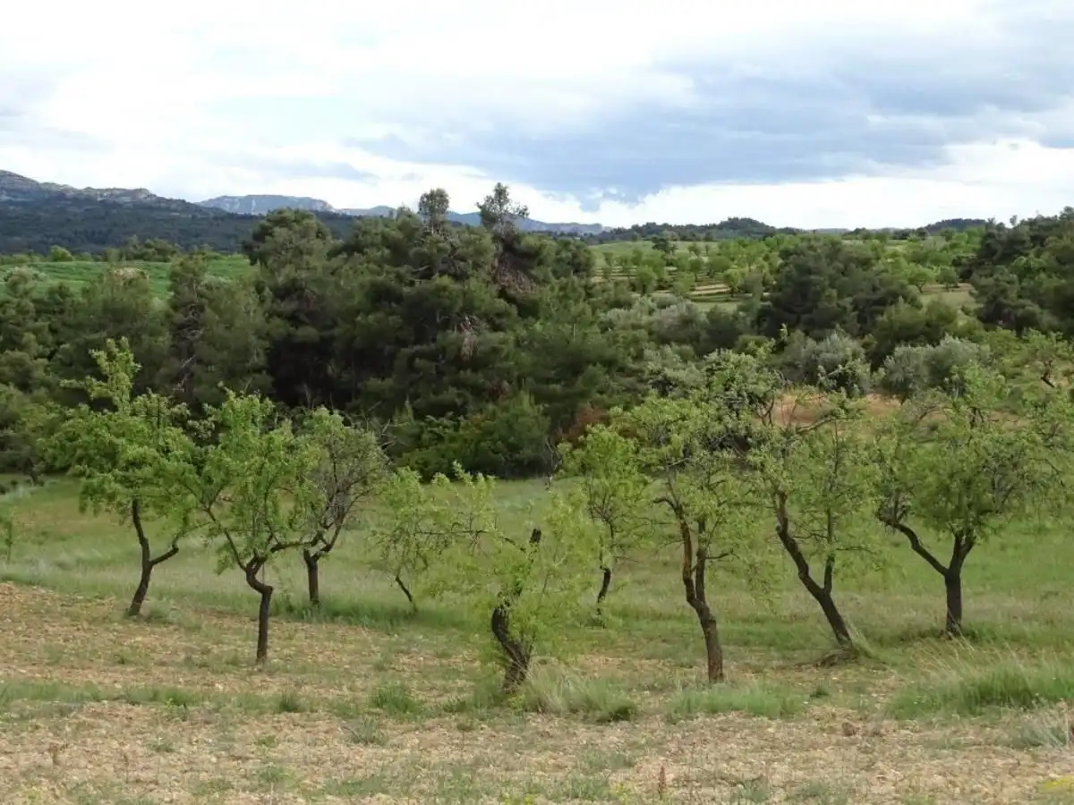 Finca rústica en venta en Cretas
