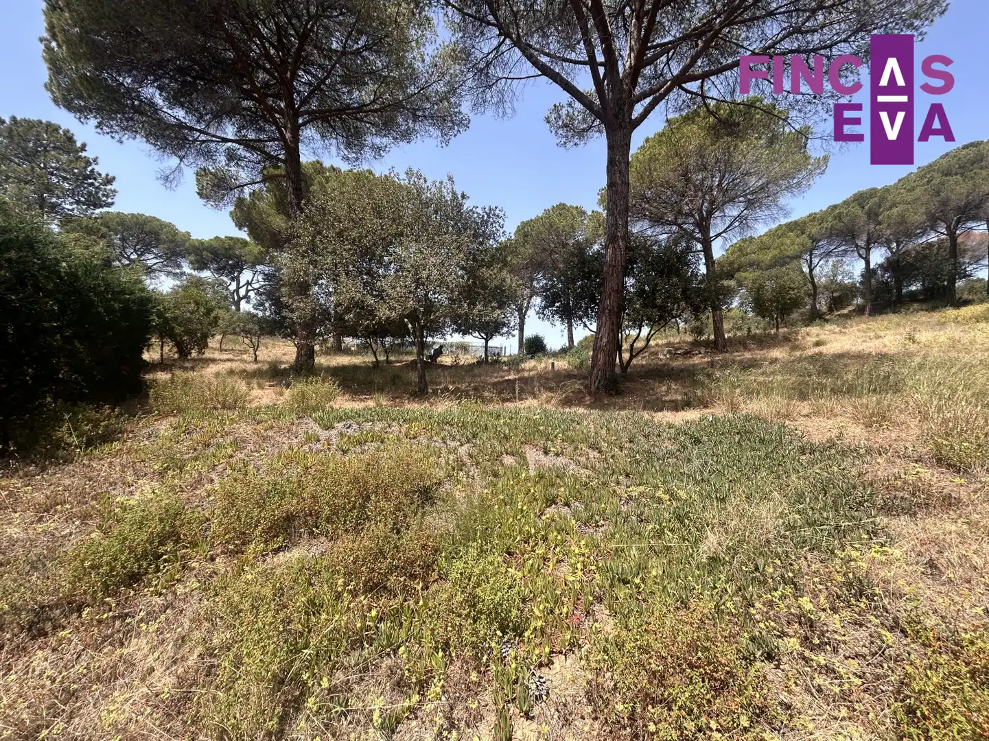 Rural land for sale in Vallromanes - CL SANT ANDREU, imagen 3