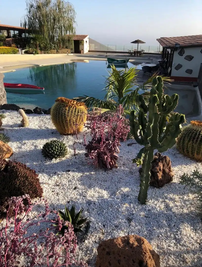 Jardí de Casa o xalet en venda en San Miguel de Abona amb Jardí privat, Traster i Piscina