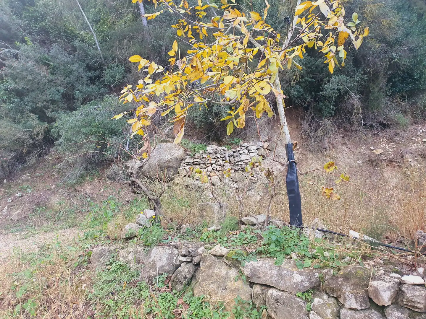 Terreno rústico en venta en Benifallet, imagen 24