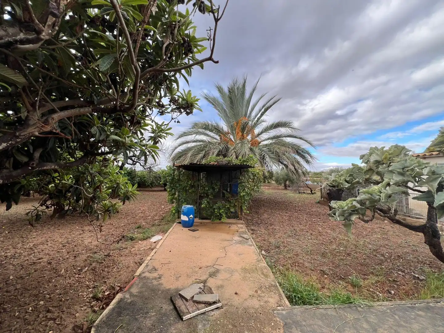 Casa o xalet en venda en Elche / Elx amb Jardí privat, Terrassa i Piscina