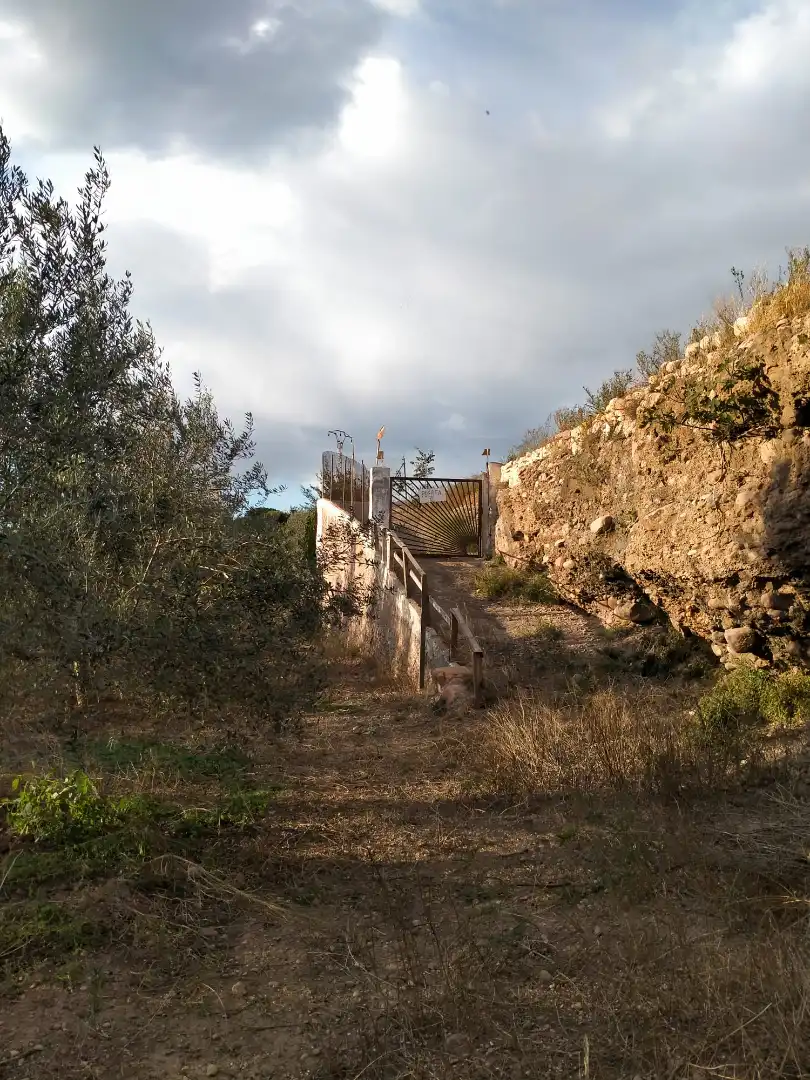 Rural land for sale in Gilet, imagen 14