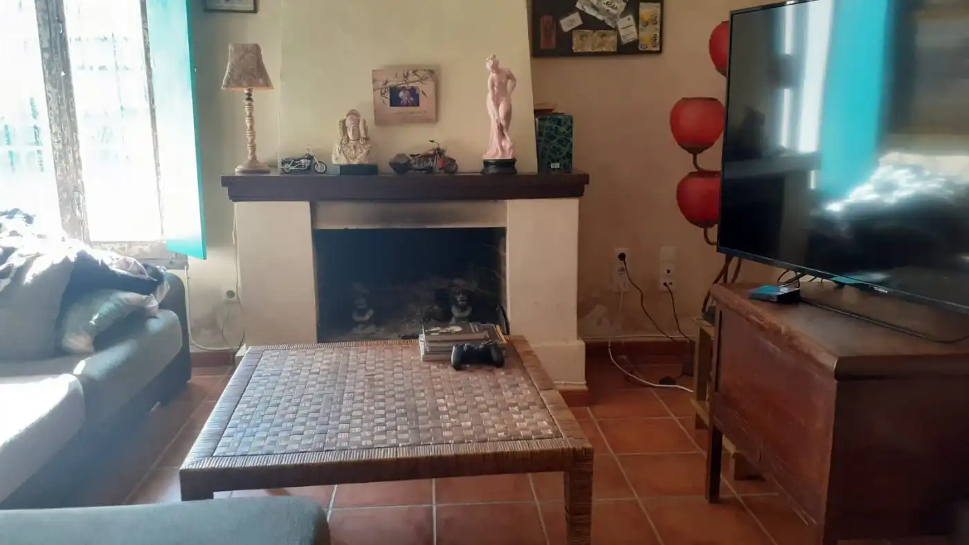 Sala d'estar de Casa o xalet en venda en Elche / Elx amb Aire condicionat, Jardí privat i Terrassa