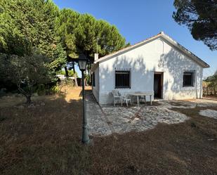 Jardí de Casa o xalet en venda en Villanueva de Duero amb Terrassa