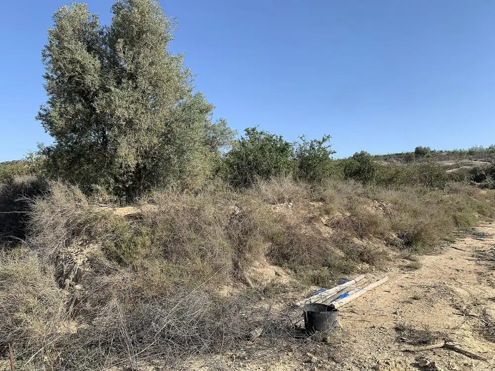 Terreno residencial en venta en Monforte del Cid, imagen 12