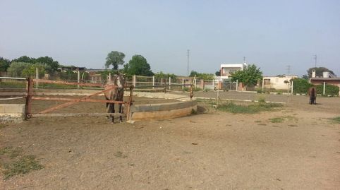 Foto 5 de Finca rústica en venta en Nord, Vilanova i la Geltrú