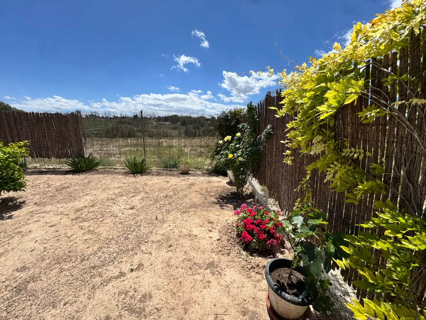 Jardín de Casa o chalet en venta en Calasparra con Aire acondicionado, Jardín privado y Terraza