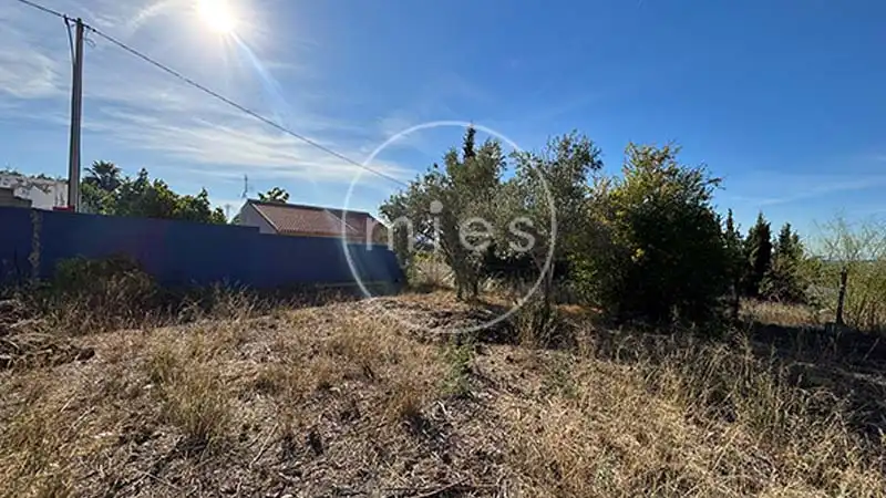 Villa avec piscine à vendre à Calle Barrachina 0, imagen 30