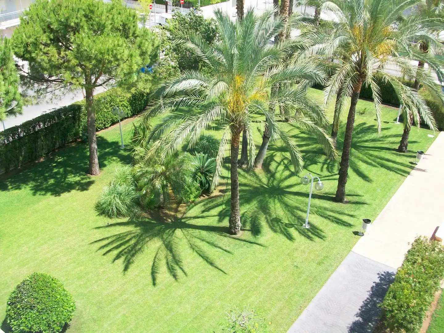 Apartament amb terrassa de lloguer a Playa de Gandia, imagen 41