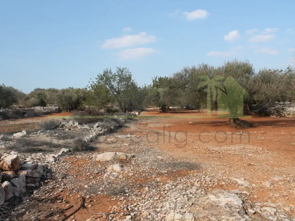 Rural land for sale in Poligono Poligono 50