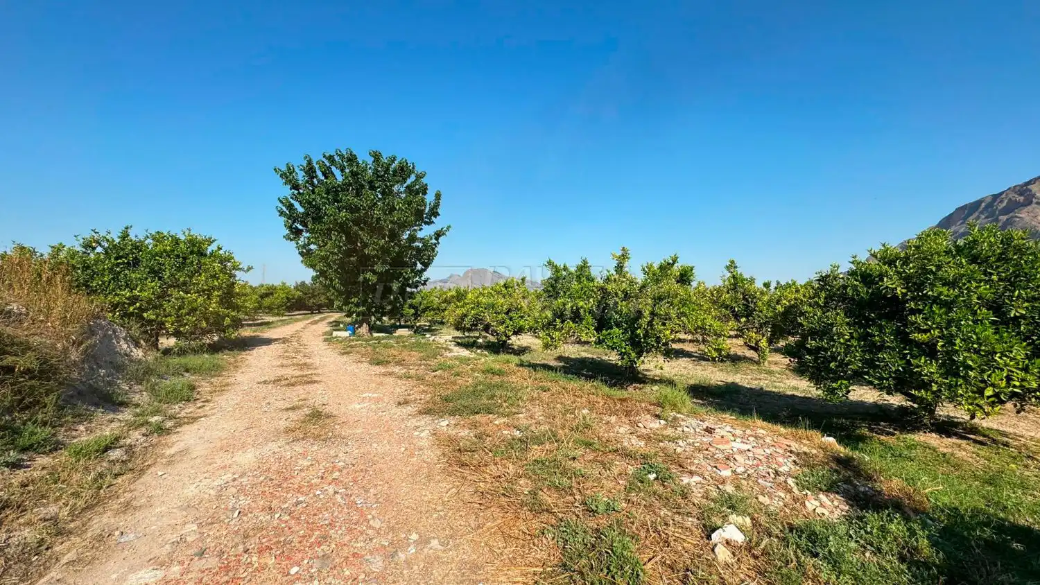Finca rústica en venda en Redován