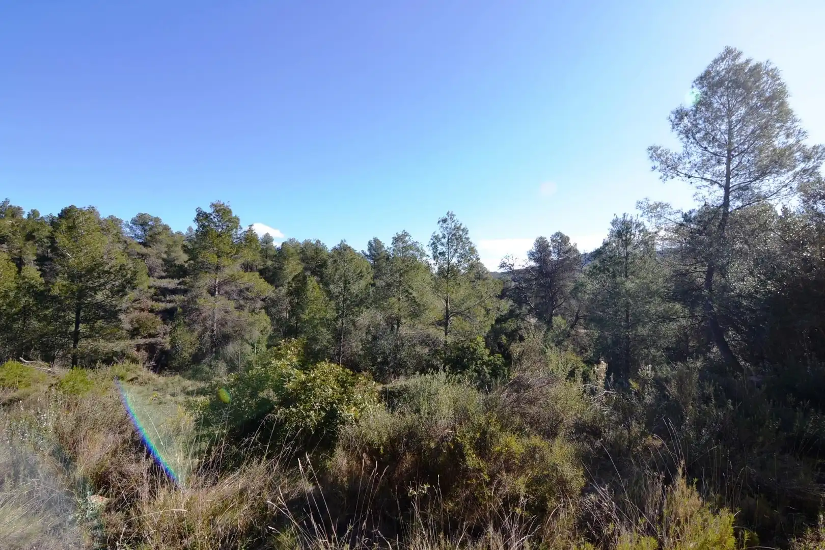 Rural land for sale in Ascó, imagen 10