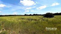 Residential for sale in Felanitx