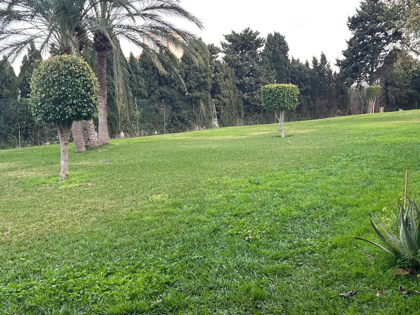 Ground floor for sale in Torremolinos  with Private garden, Terrace and Community pool