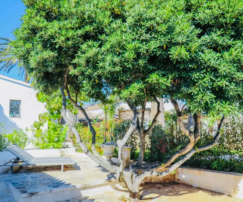 Garden of Houses for sale in Dénia  with Air Conditioner, Heating and Private garden