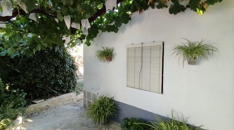 LA PARCELA QUE ESTAS BUSCANDO, immagine 2