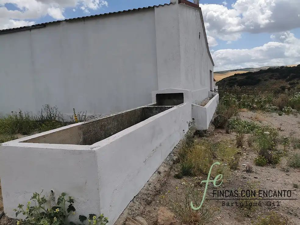 Exterior view of Country homes for sale in Espera