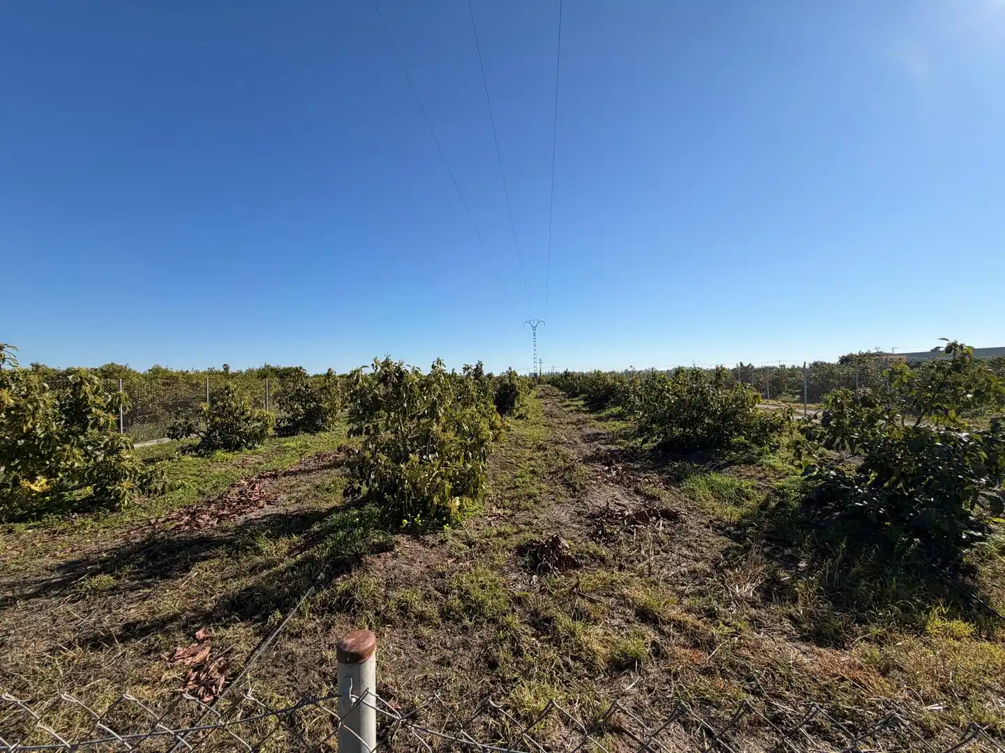 Land for sale in L'Alqueria de la Comtessa
