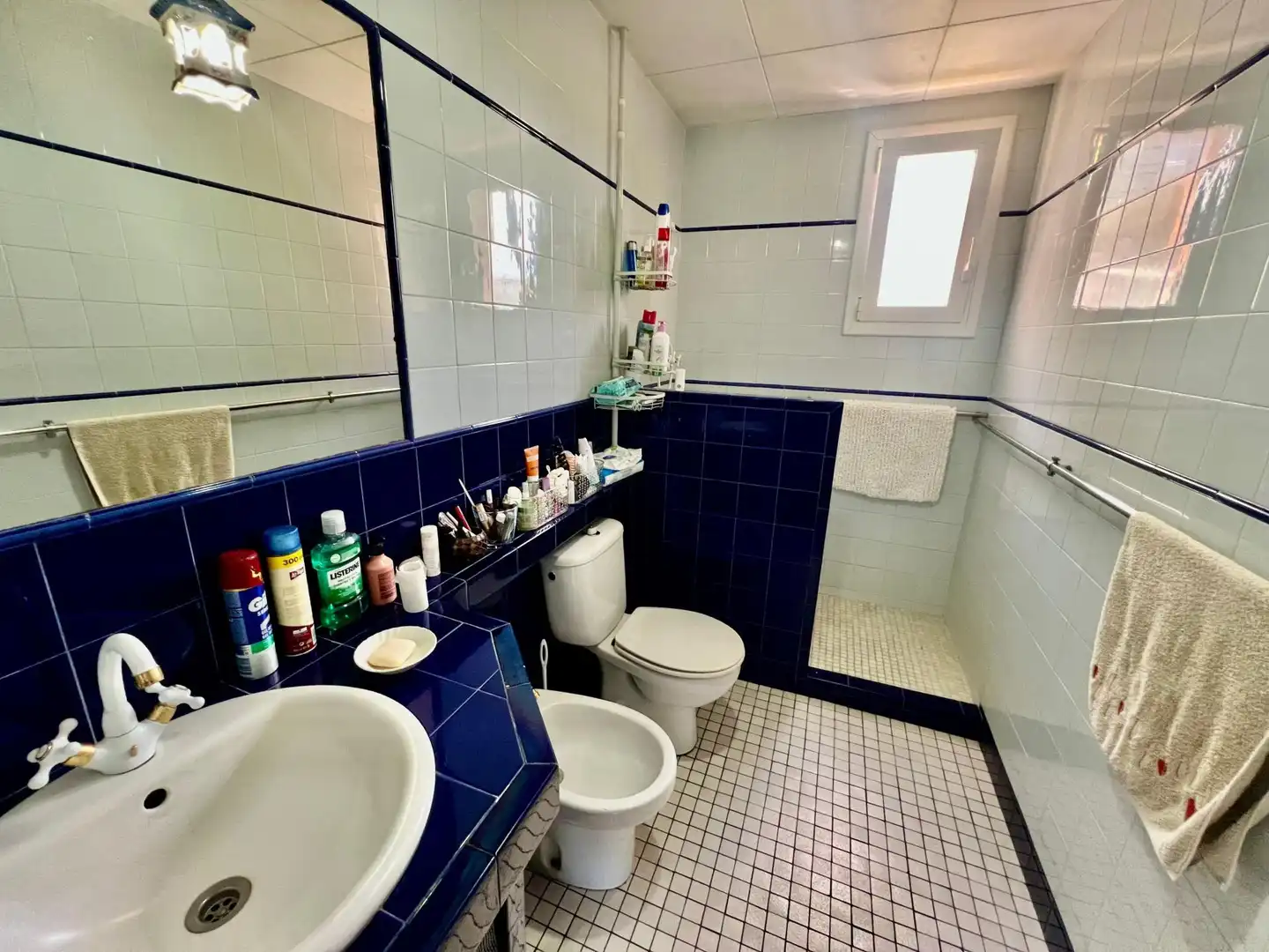 Bany de Casa o xalet en venda en Llagostera