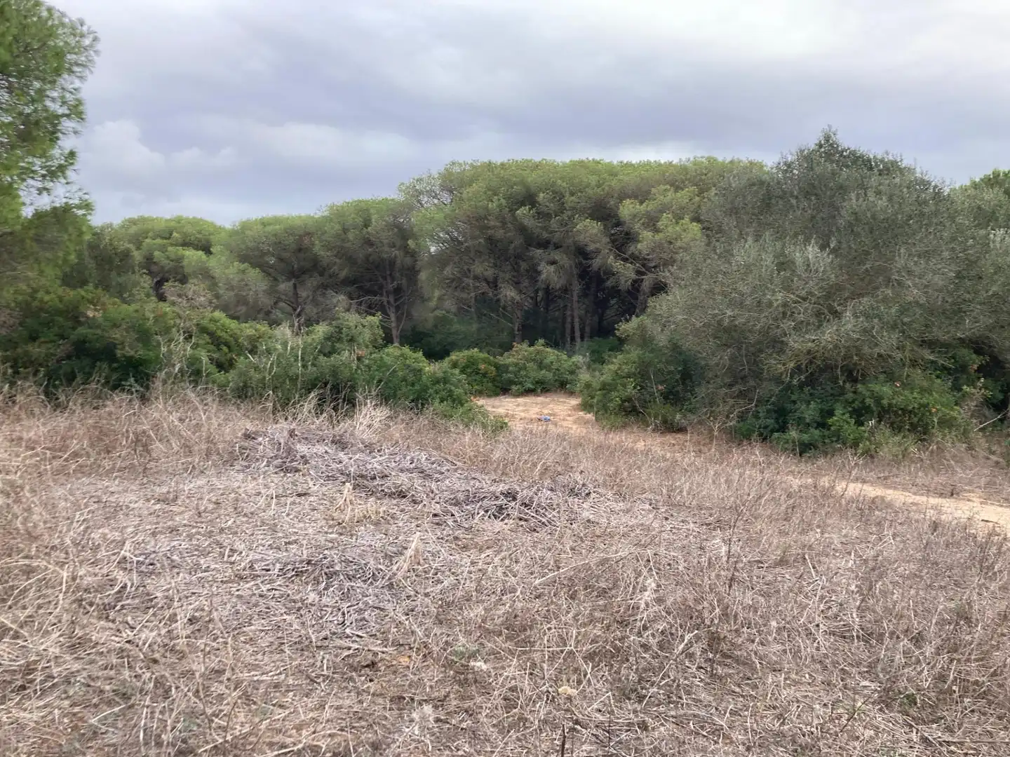 Grundstücke und Bauplätze zum Verkauf in Vejer, imagen 2