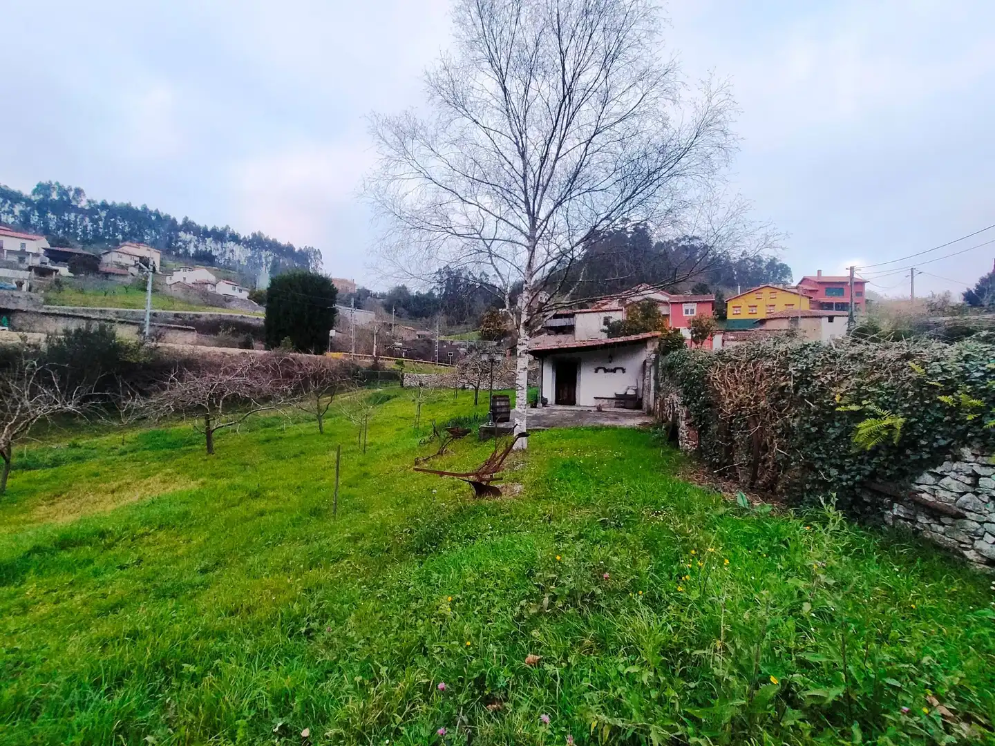 Terreni e lotti in vendita a Pravia, imagen 6