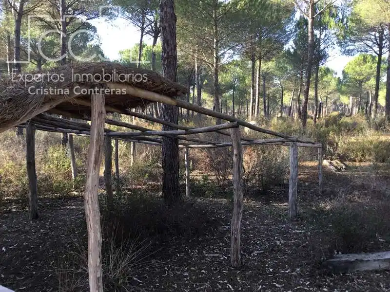 Terreni e lotti in vendita a Almonte ciudad, imagen 2