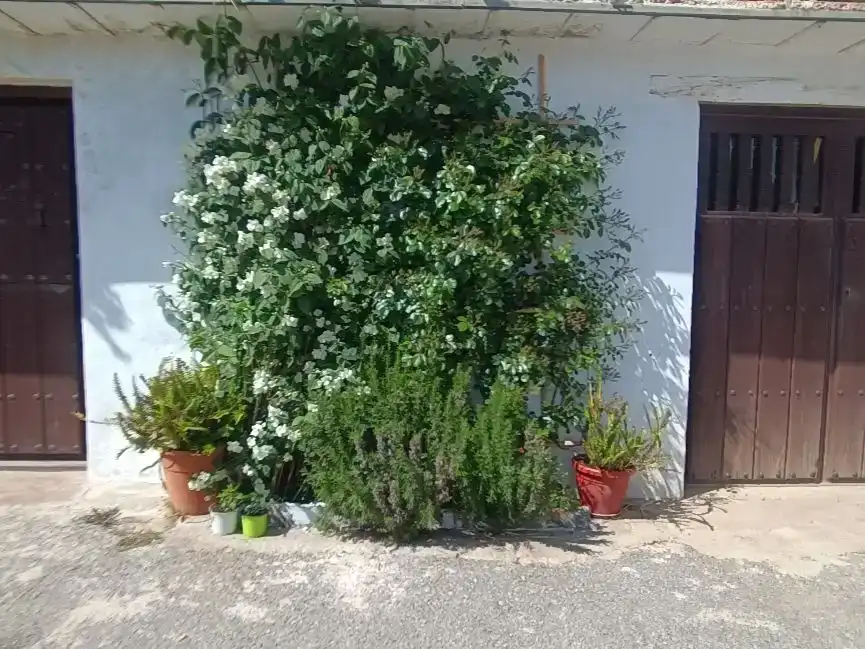 Jardí de Casa adosada en venda en La Taha amb Aire condicionat, Traster i Balcó