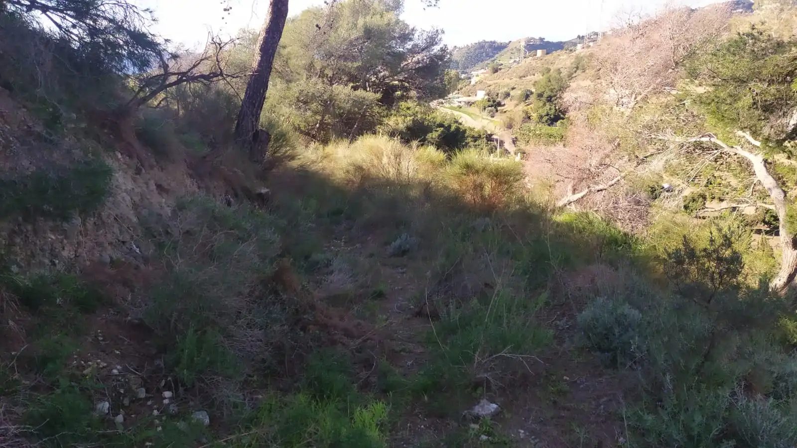 Terreni e lotti in vendita a Avenida de las Palmeras 66, imagen 9