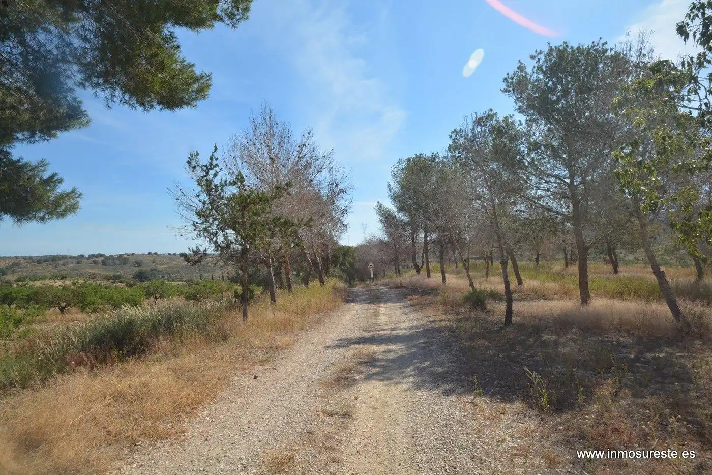 Terreno rustico in vendita a Campo de Murcia, imagen 4