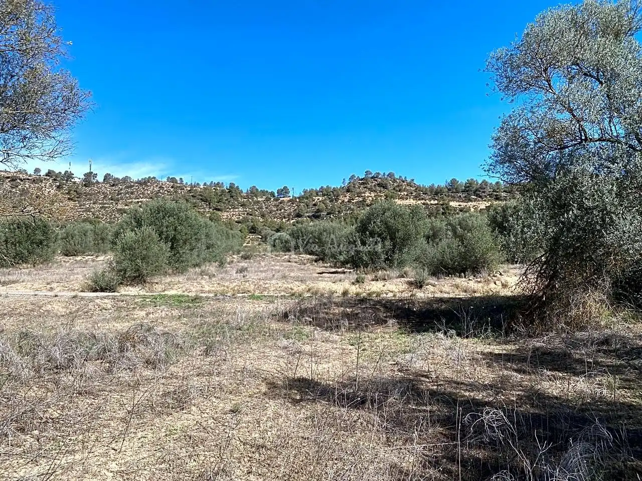 Terrain rustique à vendre à Aixalella, imagen 28
