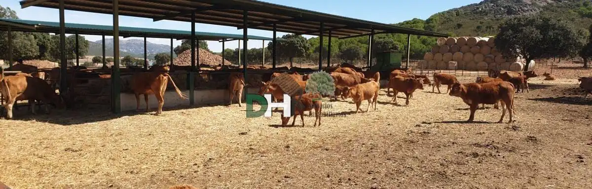 Terrenos y solares en venta en Santa María  - Pío XII, imagen 6