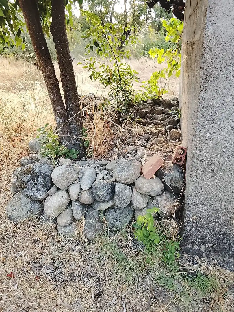 Terreni e lotti in vendita a Villanueva de la Vera, imagen 17