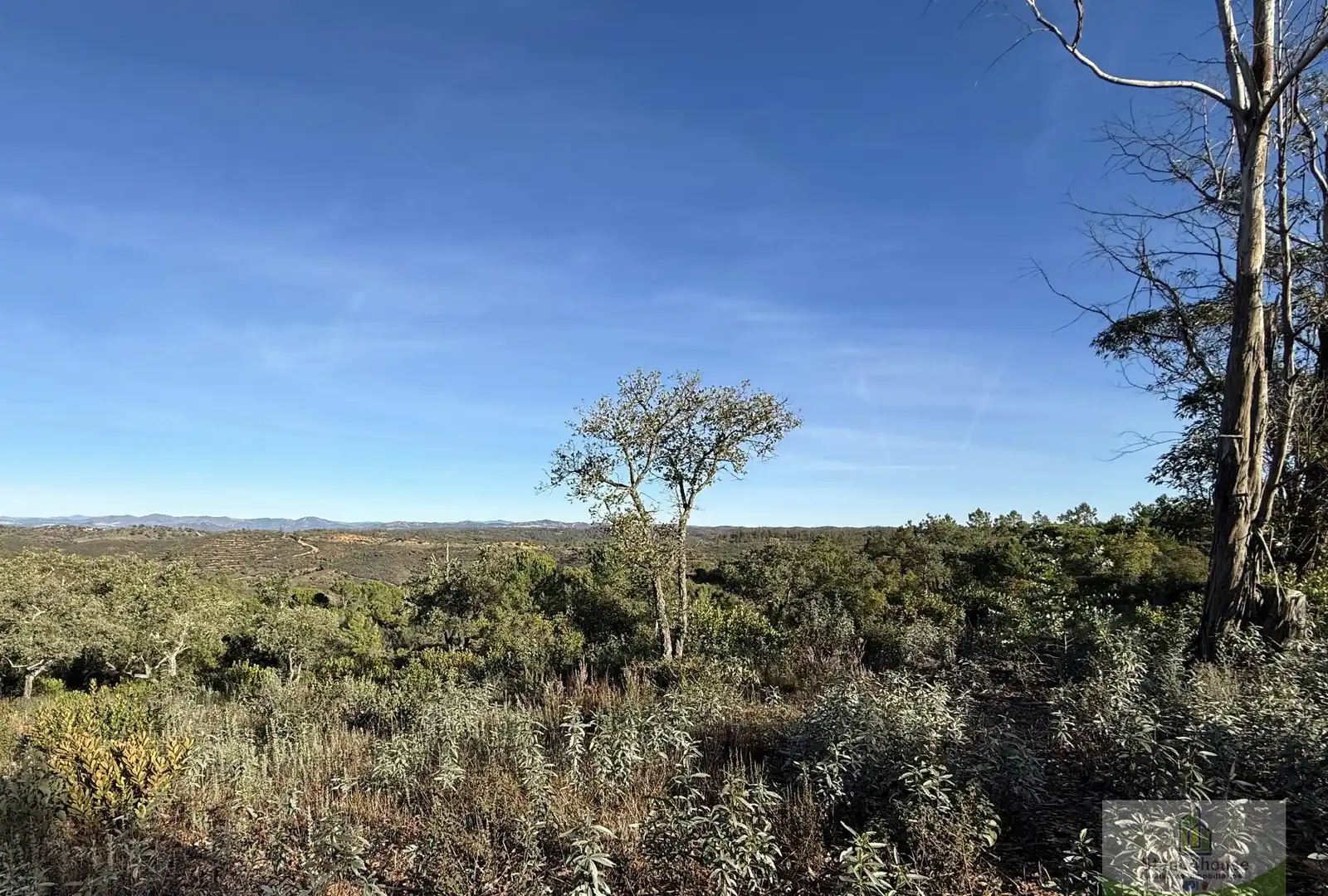 Finca rústica en venta en Berrocal