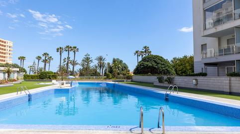 Photo 3 of Planta baja for sale in Los Europeos, Torrevieja