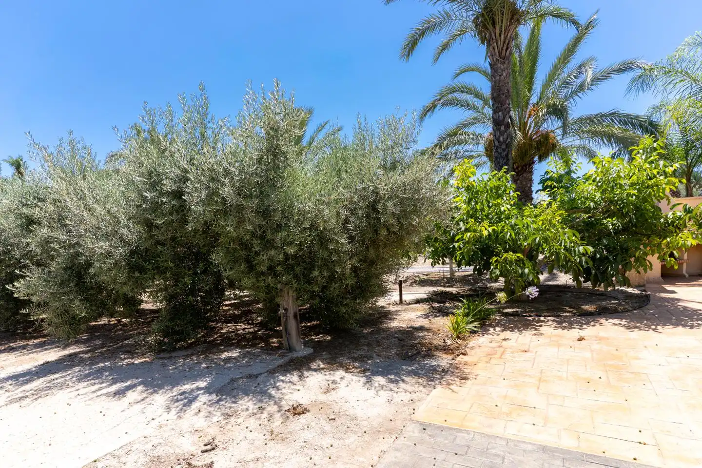 Houses for sale in Elche / Elx  with Air Conditioner, Private garden and Terrace