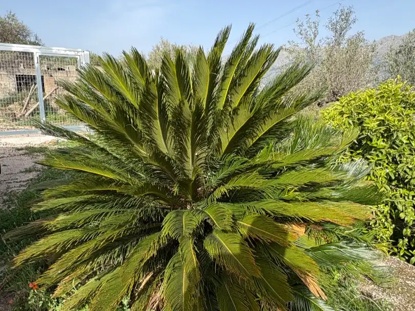 Casa rustica con giardino in vendita a Camí dels Plans 90, imagen 22