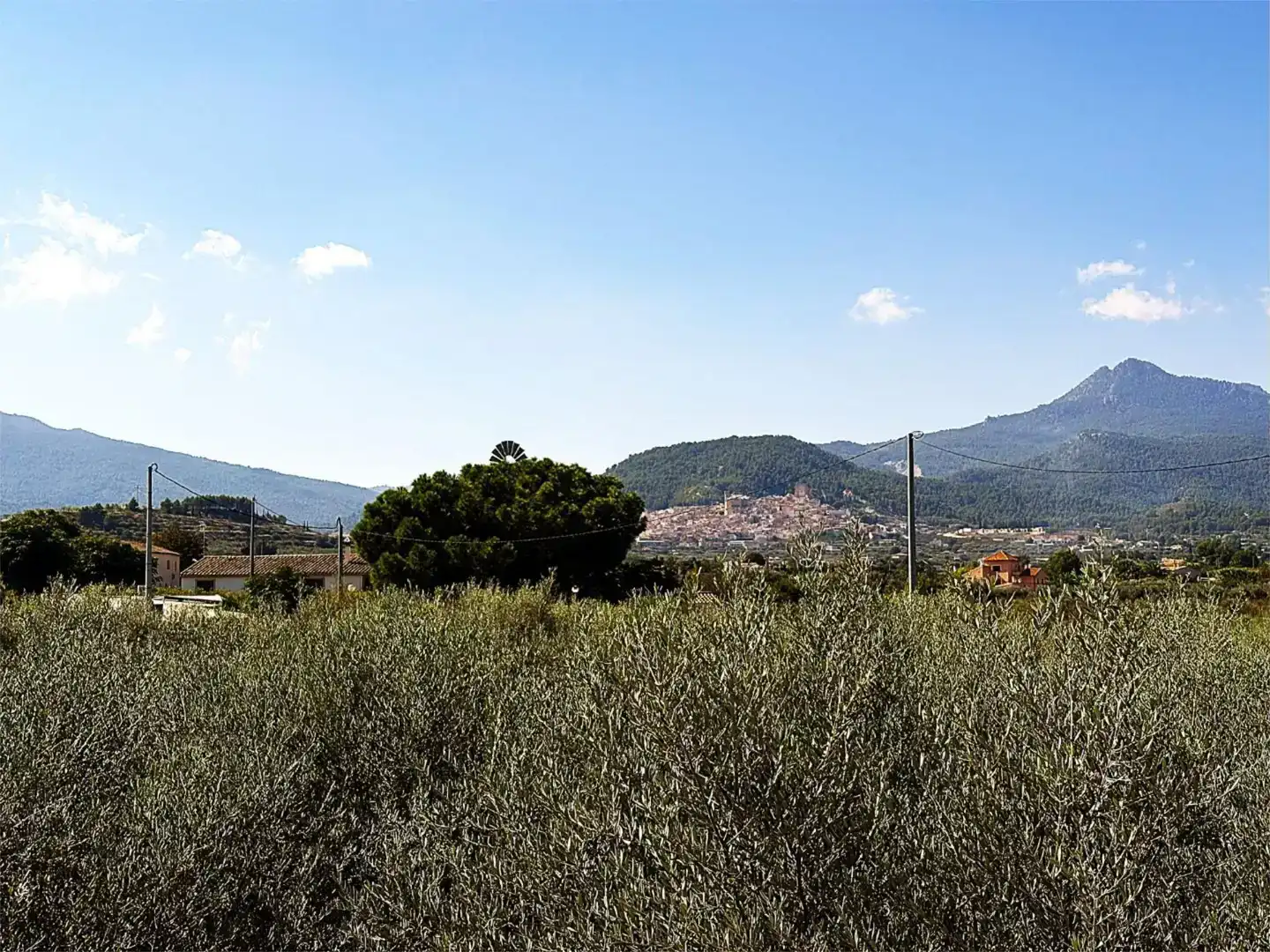 Finca rústica en venda a Camino Pieza de Navarro, 132, Moratalla