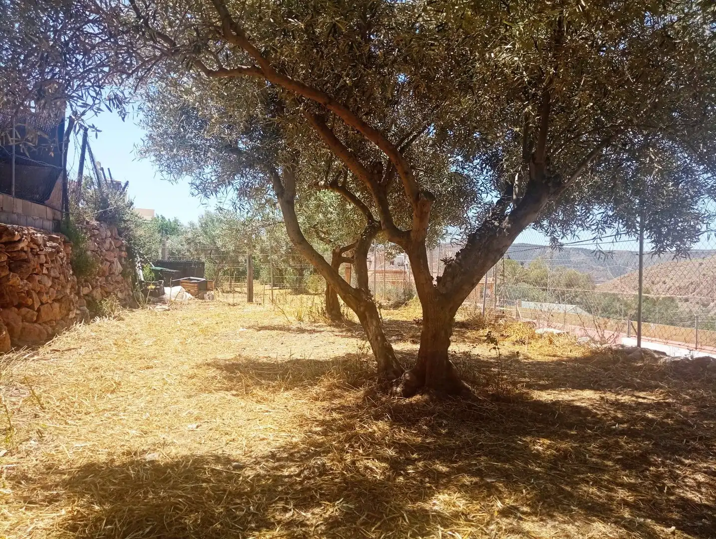 Terreno residenziale in vendita a Calle del Cerrillo Páez 5, imagen 3