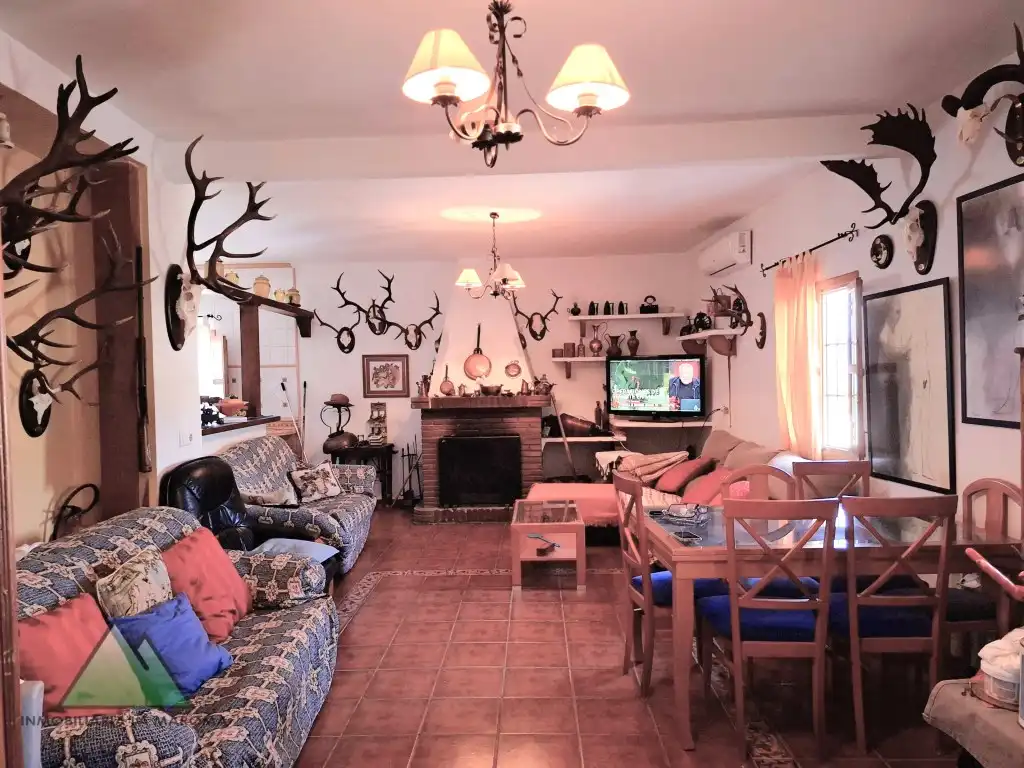 Sala de estar de Finca rústica en venta en Vélez-Málaga con Amueblado